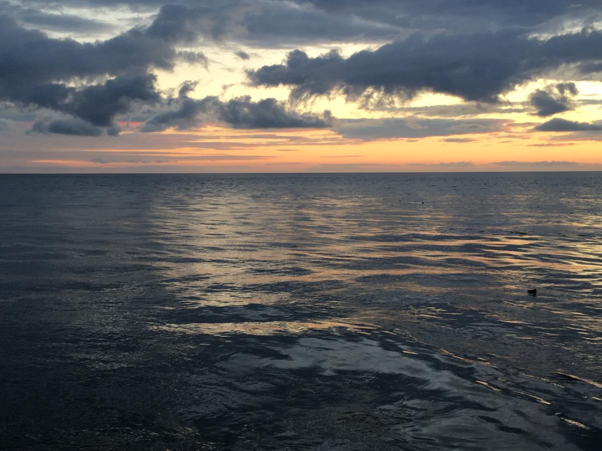 Eno Bageri'S Hotelvaerelser Karrebæksminde Buitenkant foto